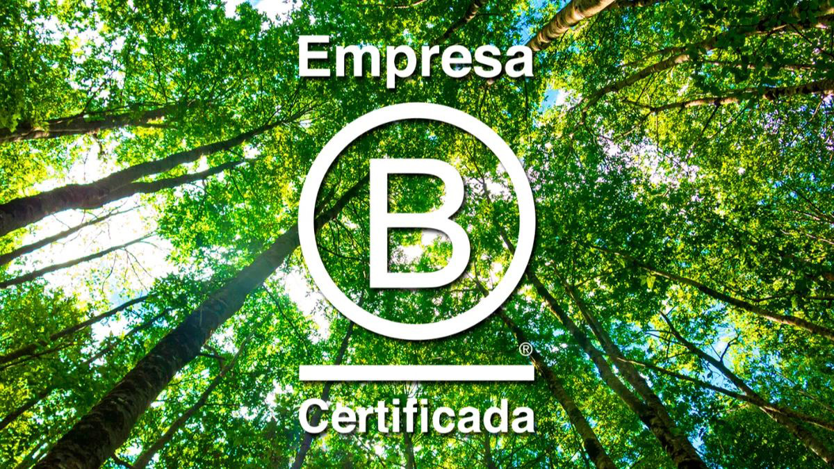 Cómo la certificación “B” afecta los mercados globales 