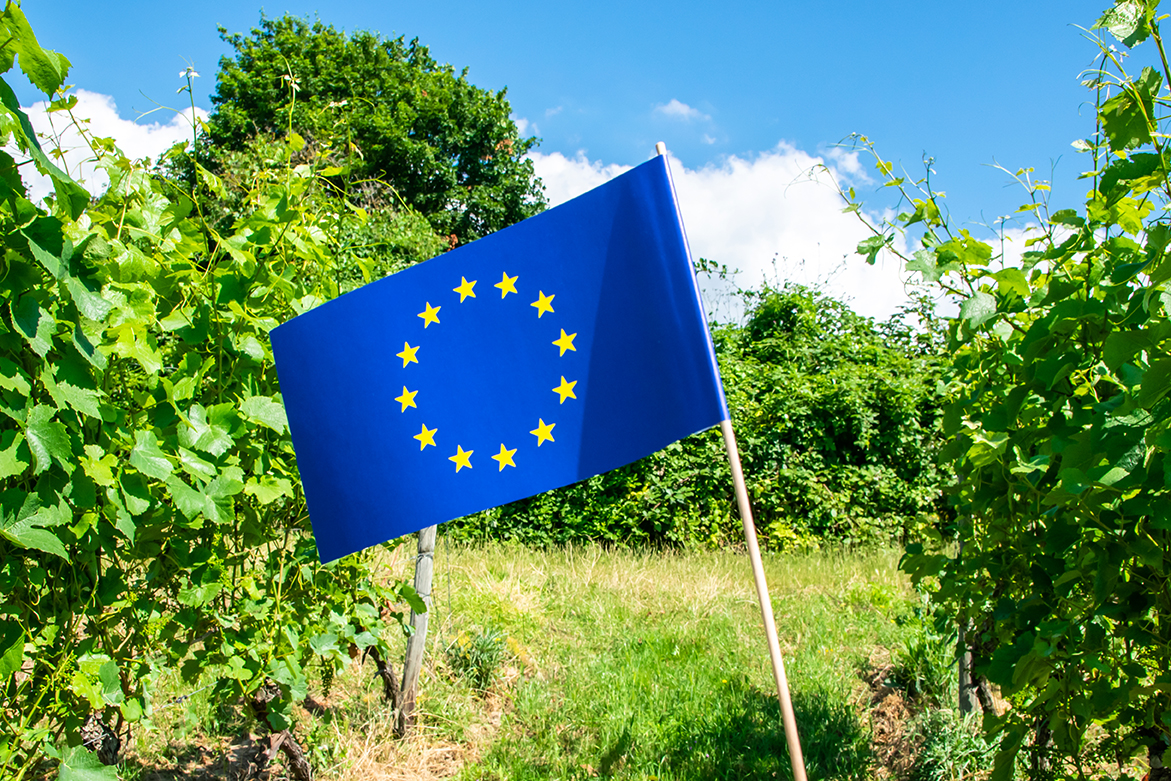 Requisitos de la regulación europea para los agricultores argentinos