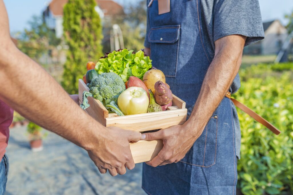 Agricultura orgánica: ¿Cómo acceder a los mercados?