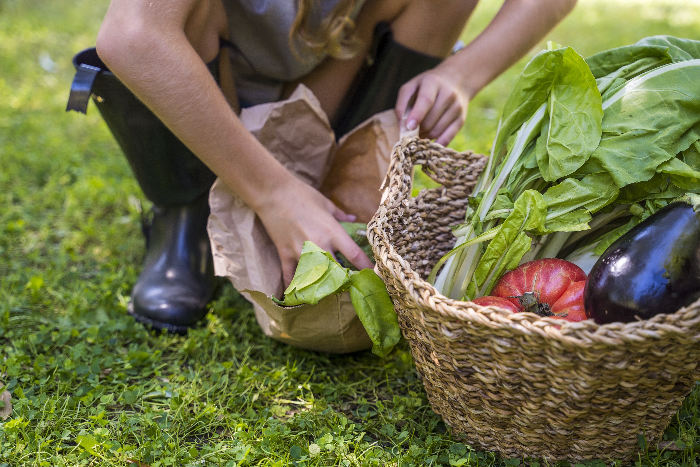 Agricultura sustentable certificada