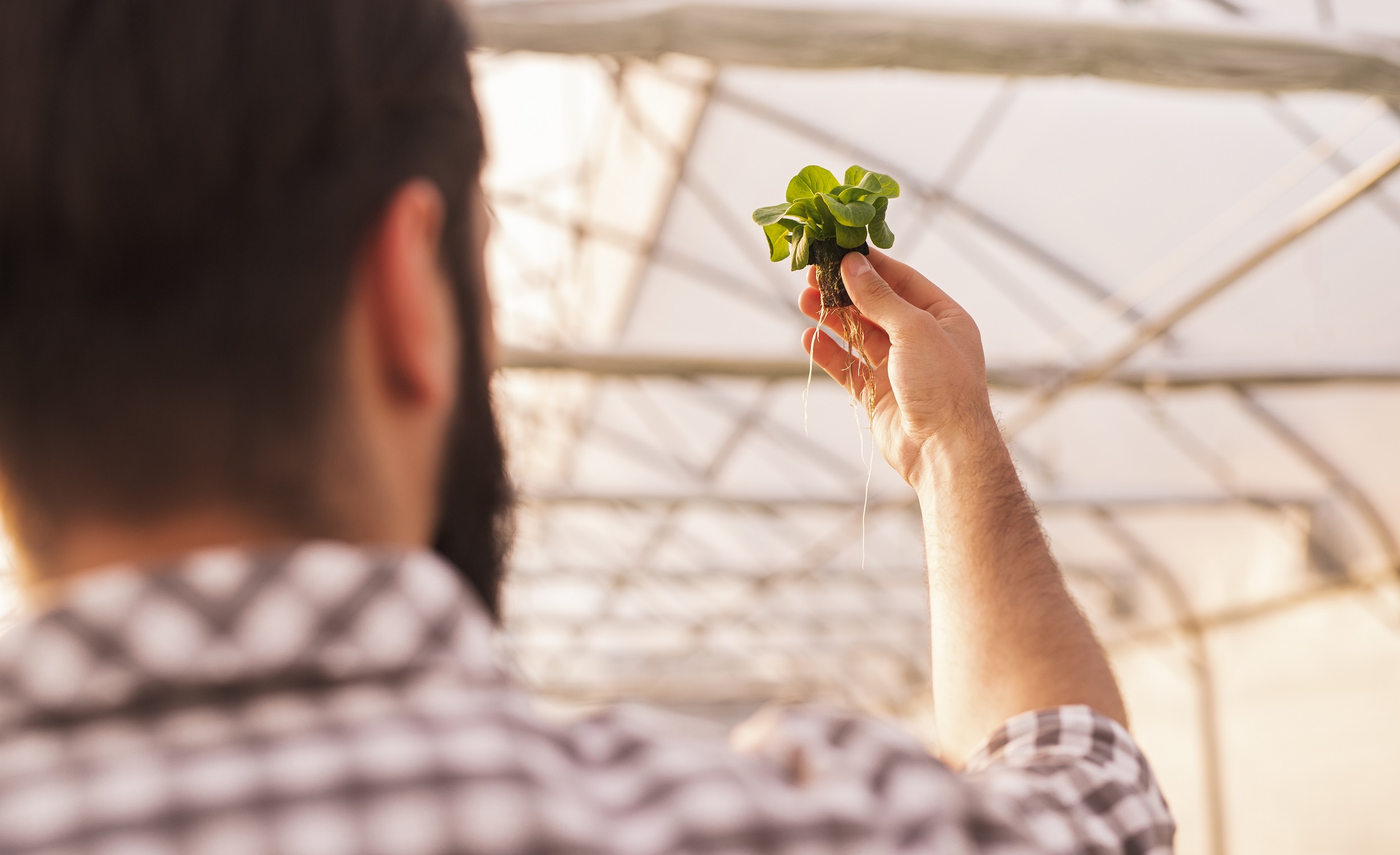 La confianza del consumidor en alimentos certificados