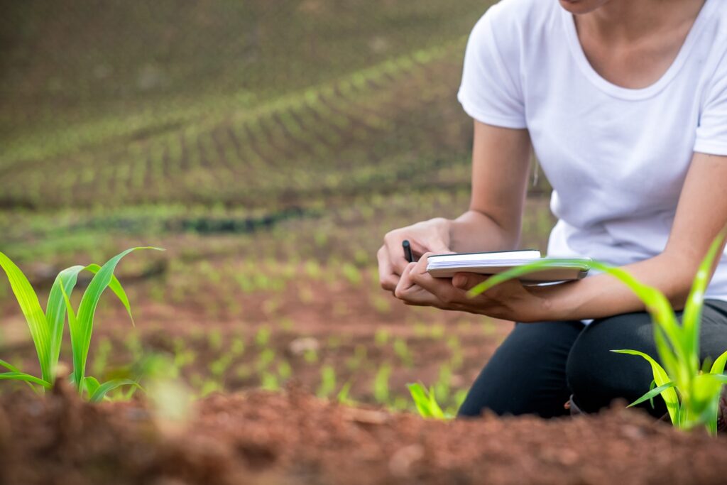 El papel de la certificación agrícola en la comercialización productiva