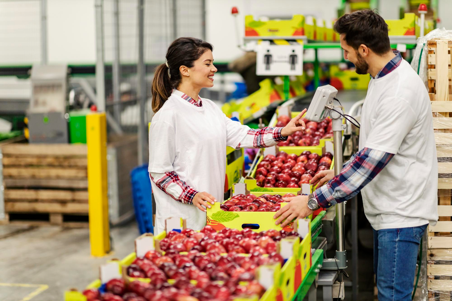 Herramientas para exportar productos agrícolas