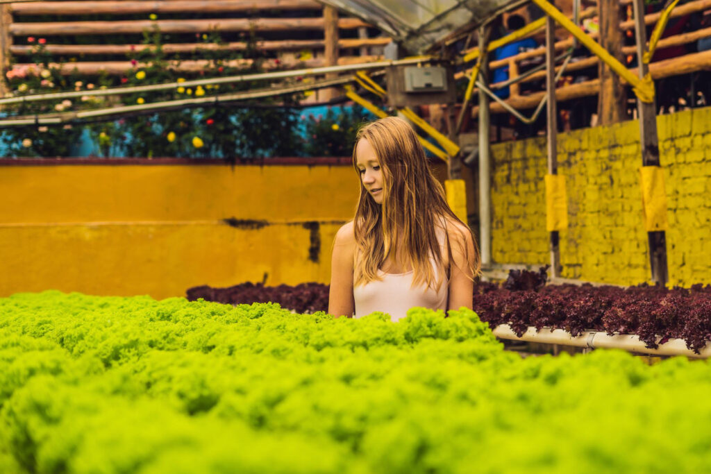 ¿Qué factores alientan el crecimiento de la producción agrícola orgánica?