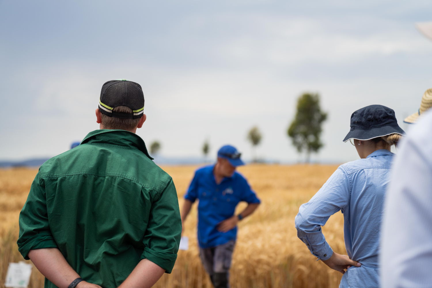 Políticas agrícolas de la Unión Europea