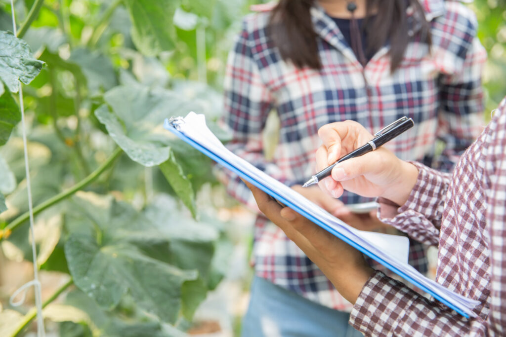 Los requisitos para exportar productos agrícolas