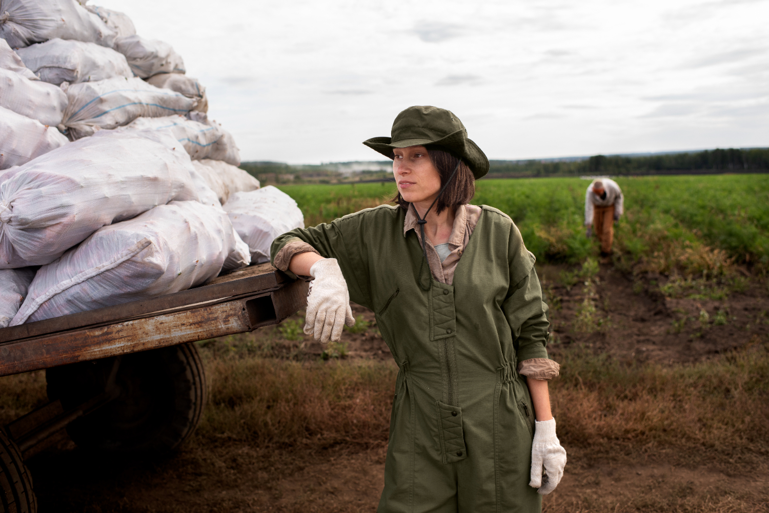 ¿Qué factores inciden en la exportación agrícola?