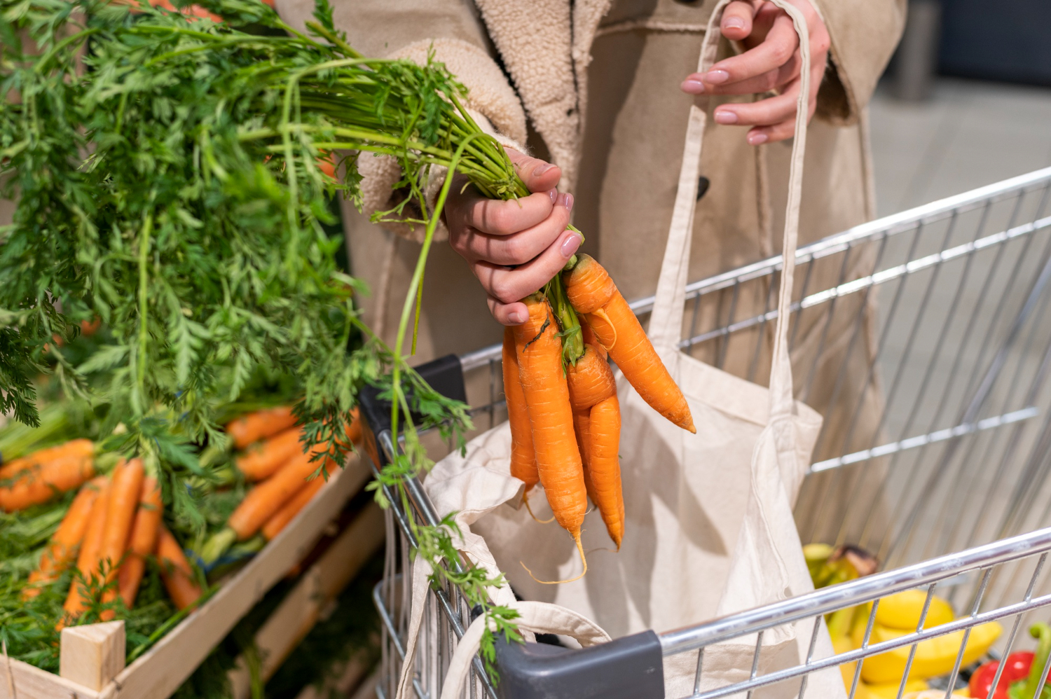 Los aspectos que inciden en la comercialización de productos orgánicos