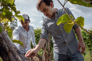 Matías Imperiale, cofundador de Agro Sustentable, supervisa cultivos junto a un productor en un campo de Misiones, promoviendo prácticas agrícolas sostenibles.