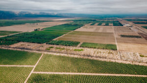 Vista aérea de un extenso paisaje agrícola con parcelas verdes y tierras en descanso, al pie de una cadena montañosa y bajo un cielo nublado.