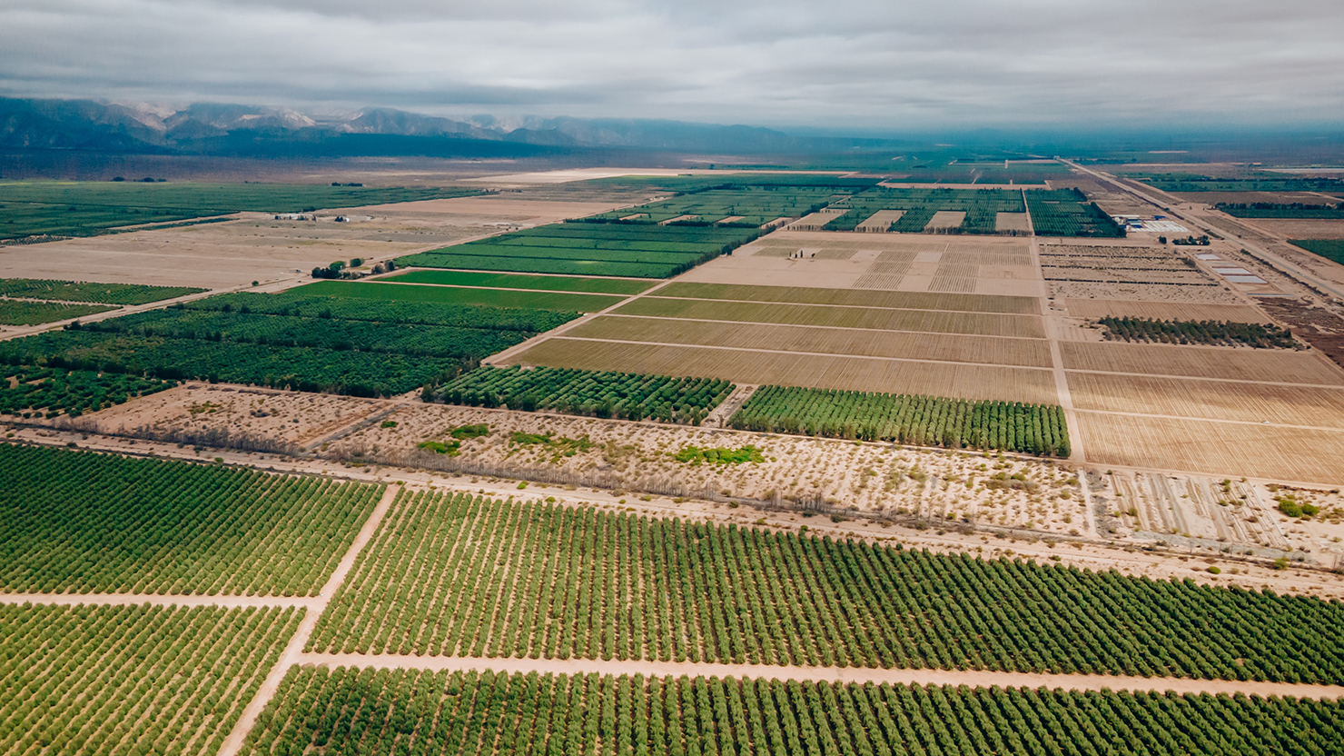 Vista aérea de un extenso paisaje agrícola con parcelas verdes y tierras en descanso, al pie de una cadena montañosa y bajo un cielo nublado.