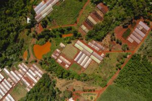 Vista aérea de invernaderos rodeados de cultivos orgánicos y caminos rojizos en una zona rural de producción intensiva y sostenible.