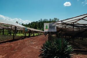 Vista del vivero de Agro Sustentable en Misiones, Argentina, con estructuras cubiertas y señalización de productos como BIOFERT GTG.