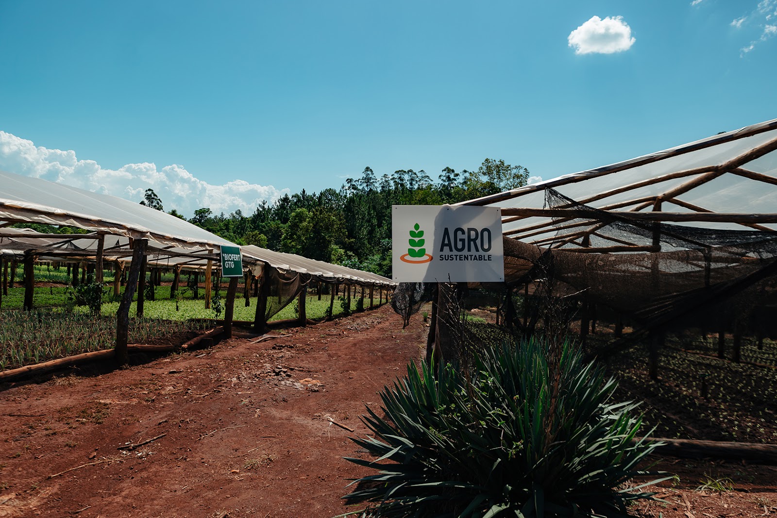 Vista del vivero de Agro Sustentable en Misiones, Argentina, con estructuras cubiertas y señalización de productos como BIOFERT GTG.