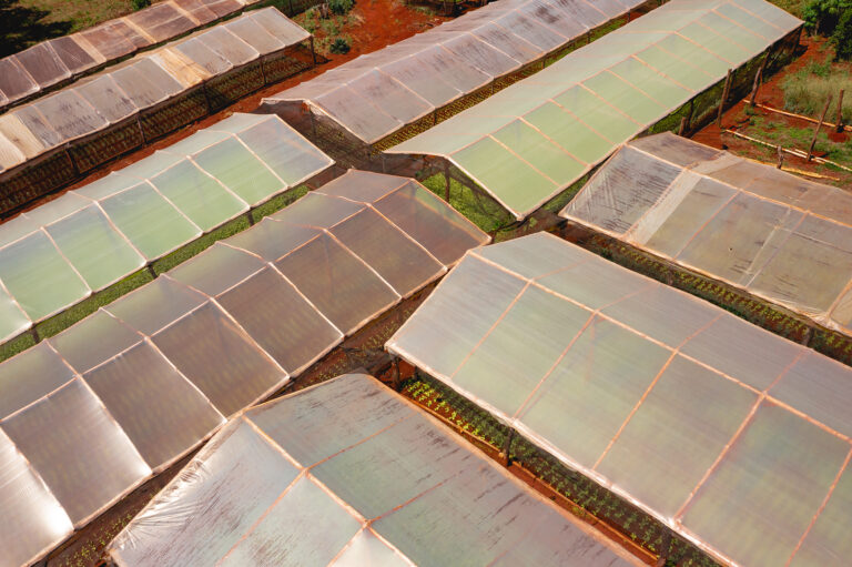Cuando la tecnología se apropia de la agricultura y permite obtener mejores rendimientos