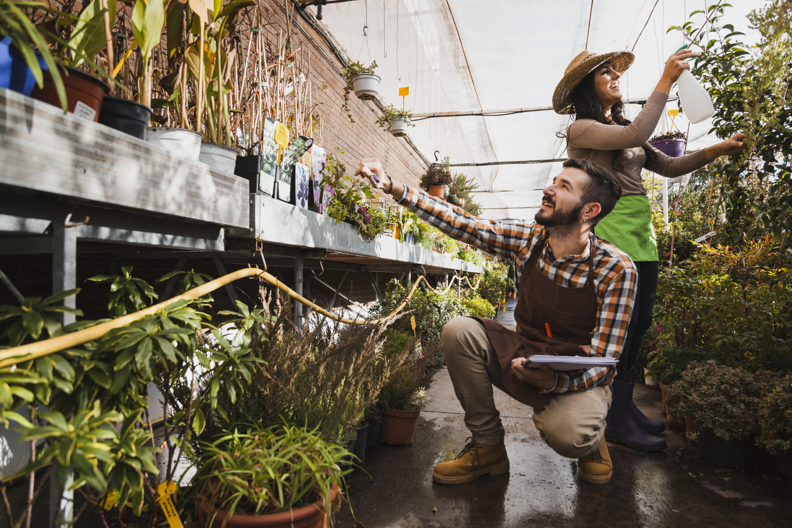 Dos personas jardineras trabajando alegremente en un invernadero, cuidando plantas en macetas y rociando agua, rodeadas de vegetación y luz natural.