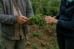 Dos personas en una finca rural observan un manojo de hojas verdes, símbolo de producción agrícola responsable.