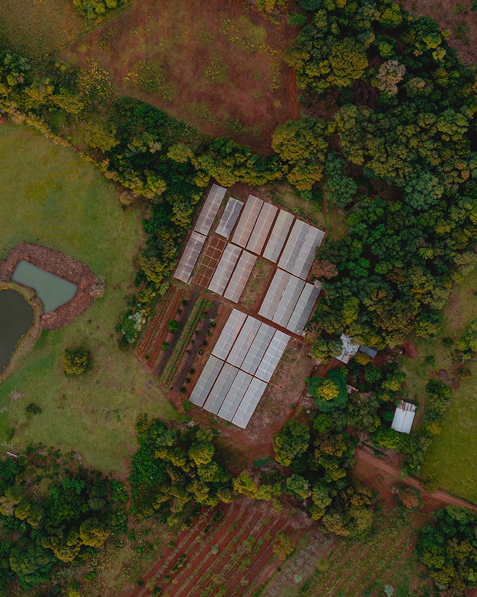 Vista aérea de un complejo agrícola con invernaderos rodeado de vegetación y zonas productivas, mostrando la integración entre naturaleza y tecnología agro.