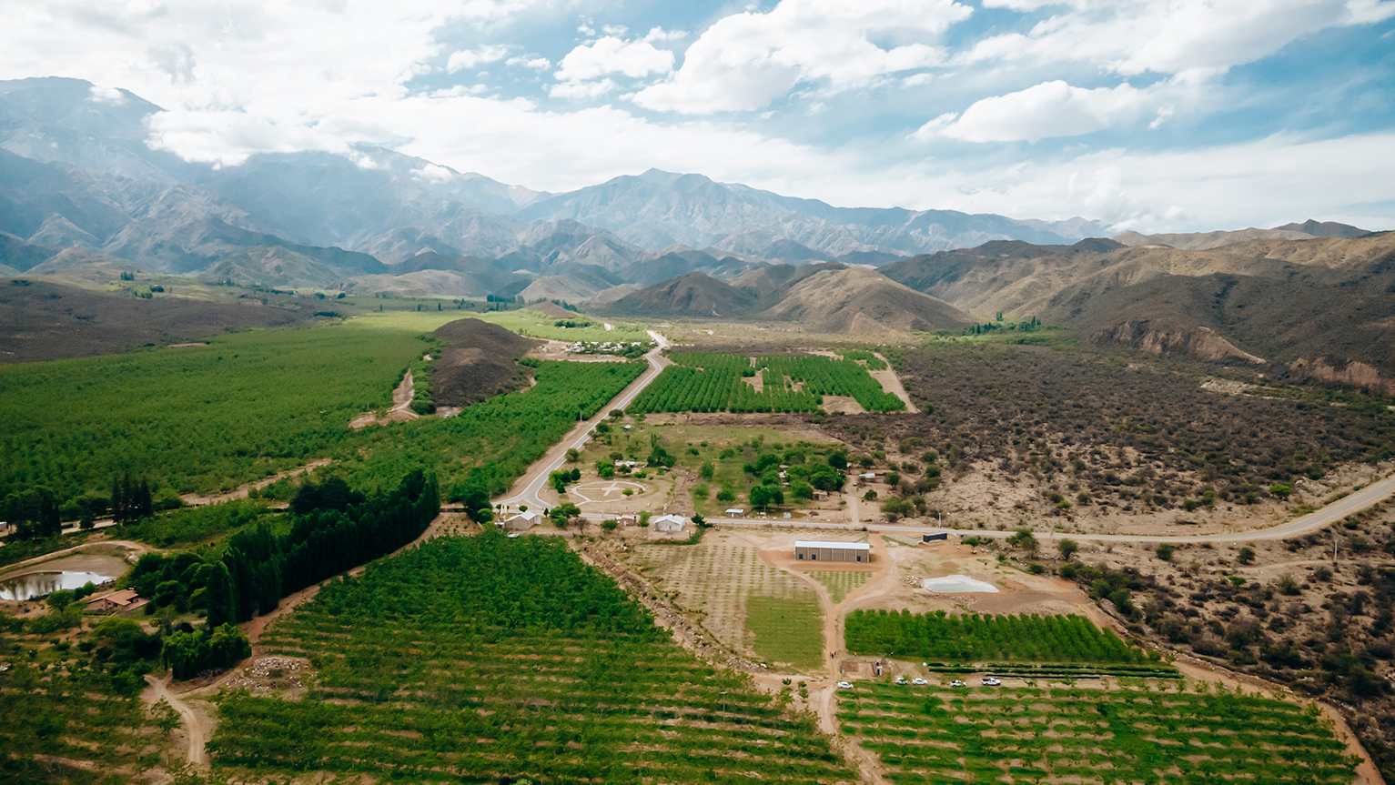 Vista aérea de campos agrícolas extendidos en un valle rodeado de montañas, mostrando la expansión horizontal de la producción agropecuaria.