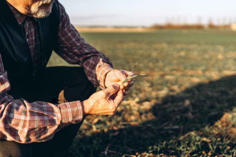 De producción o fabricación
