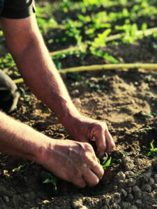 La crisis del modelo de economía abierta